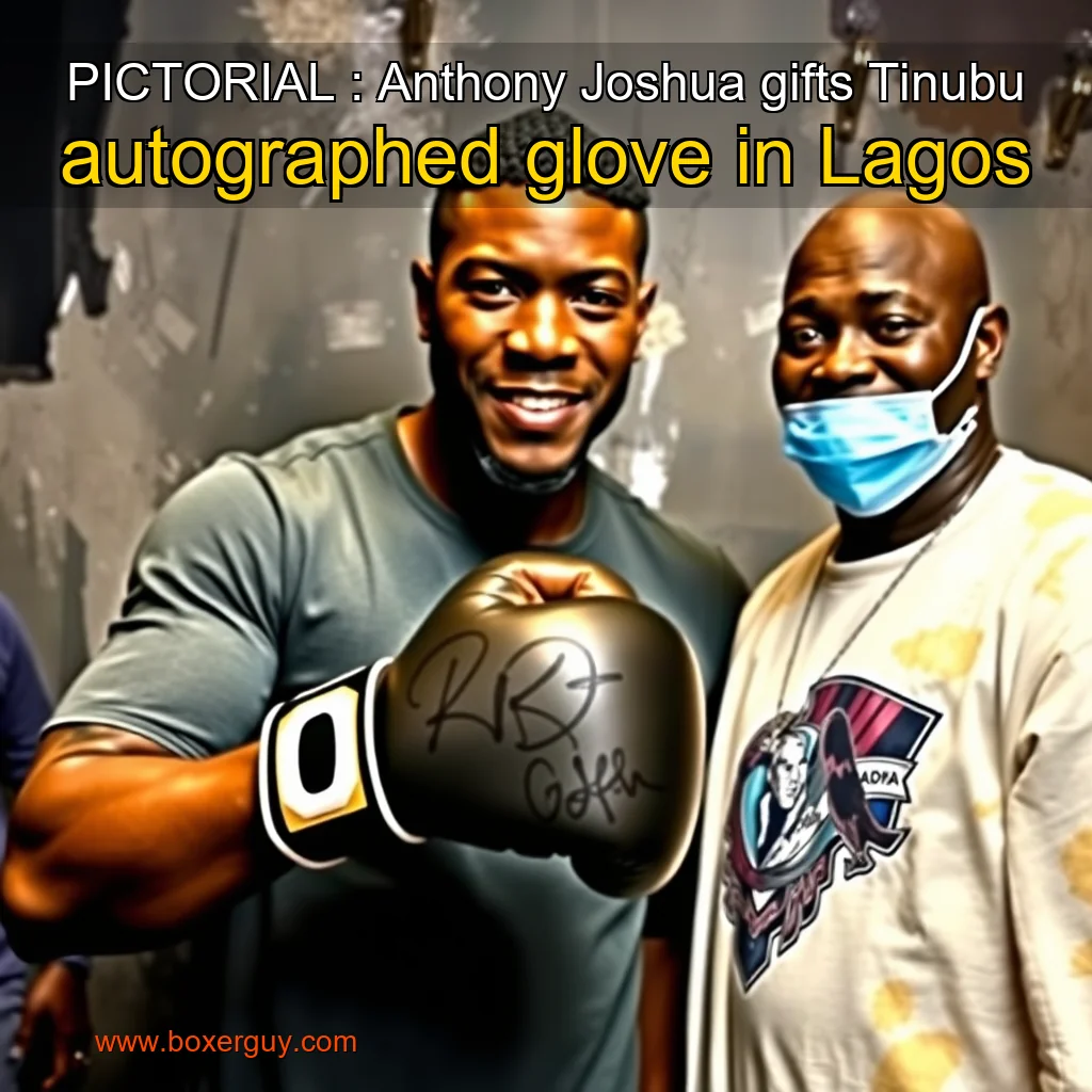 You are currently viewing PICTORIAL : Anthony Joshua gifts Tinubu autographed glove in Lagos