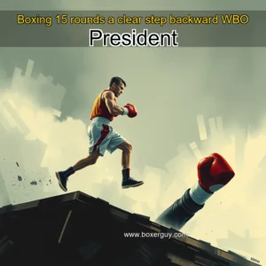 Read more about the article Boxing 15 rounds a clear step backward  WBO President