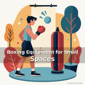 Artistic representation for Boxing Equipment for Small Spaces